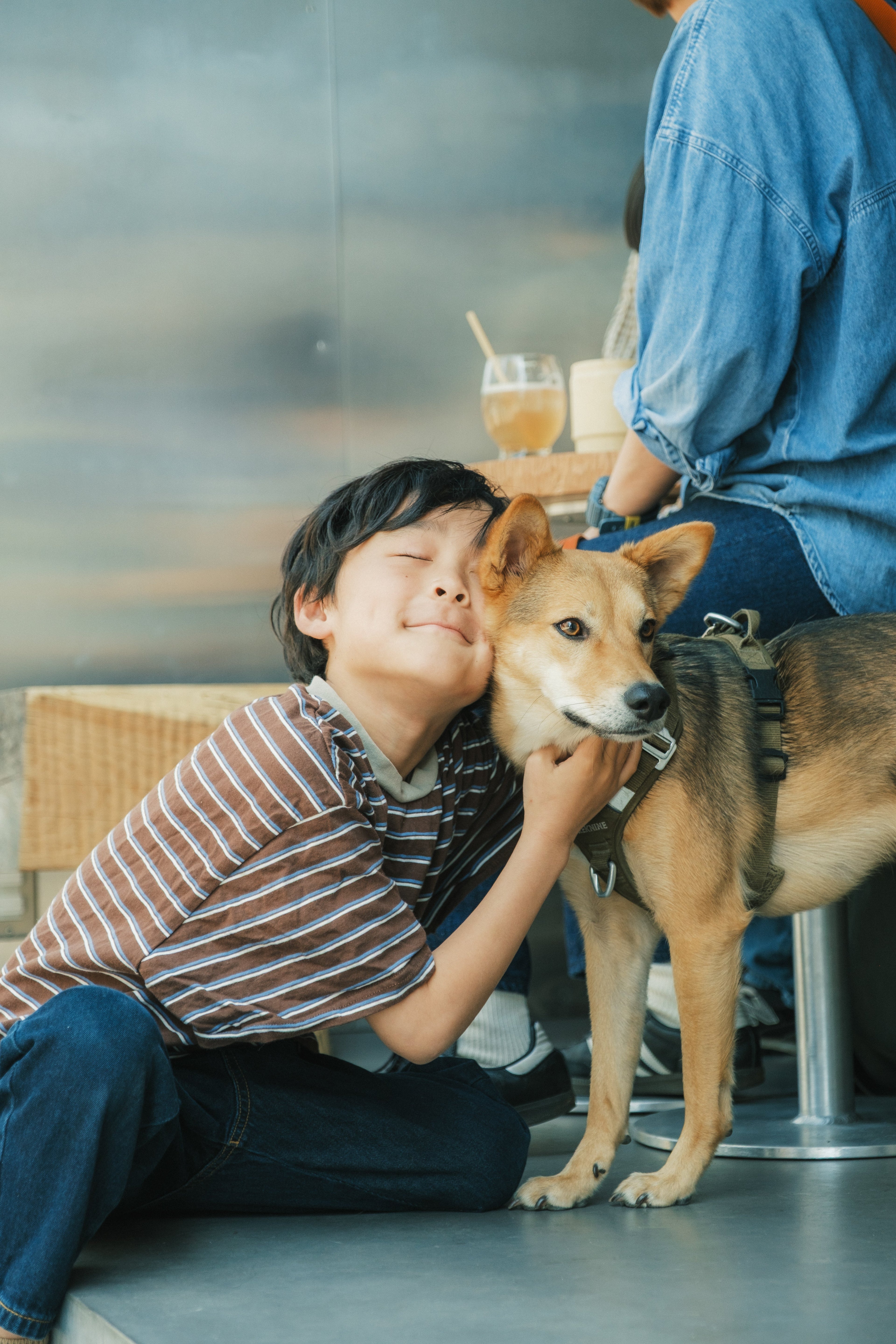 Dog Friendly