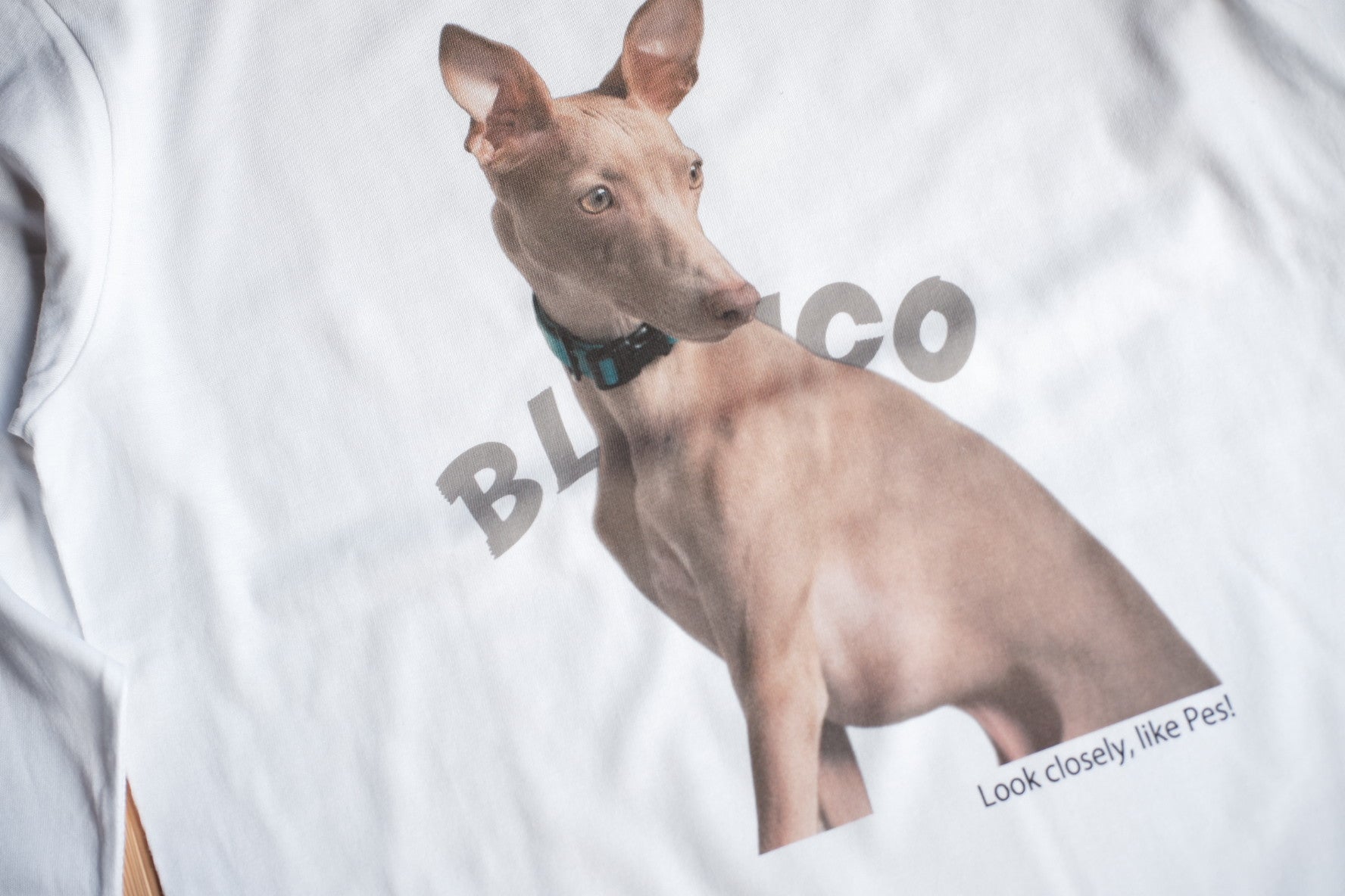 Dog Photo Tee by Pes!