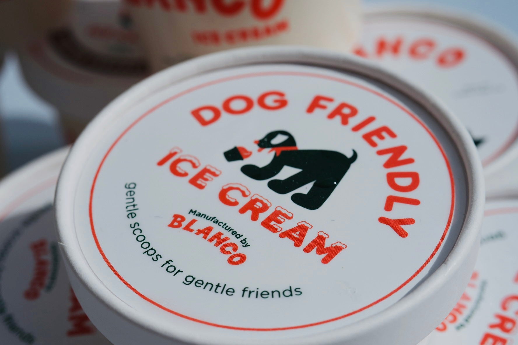 6個セット(６フレーバー)＆Dog Friendly Ice creamセット