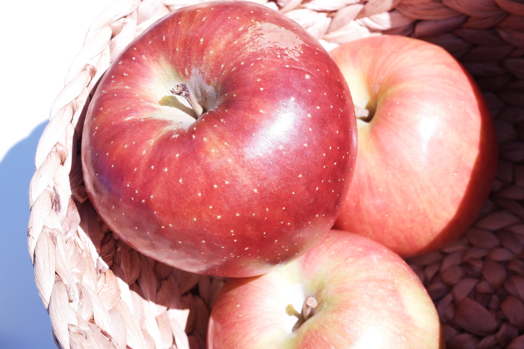 お歳暮・ホリデーギフトボックス(6個セット)