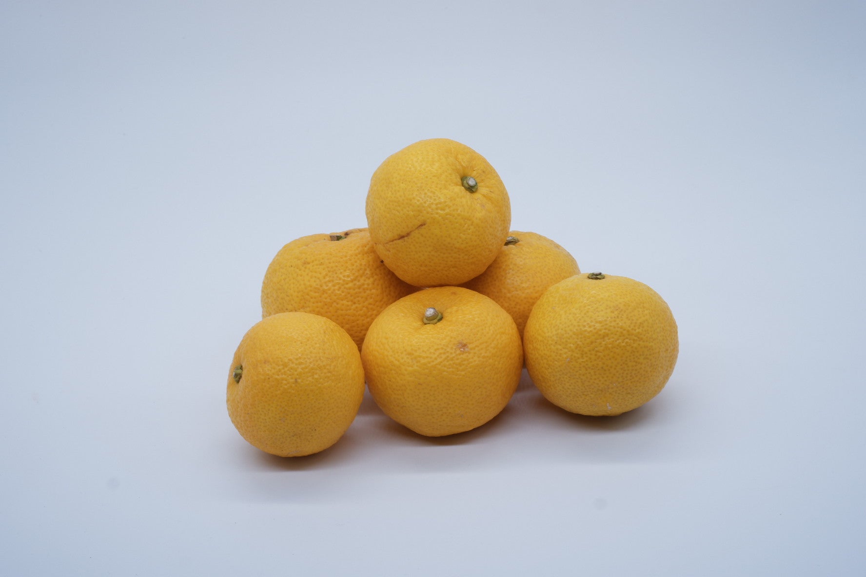 お歳暮・ホリデーギフトボックス(8個セット)