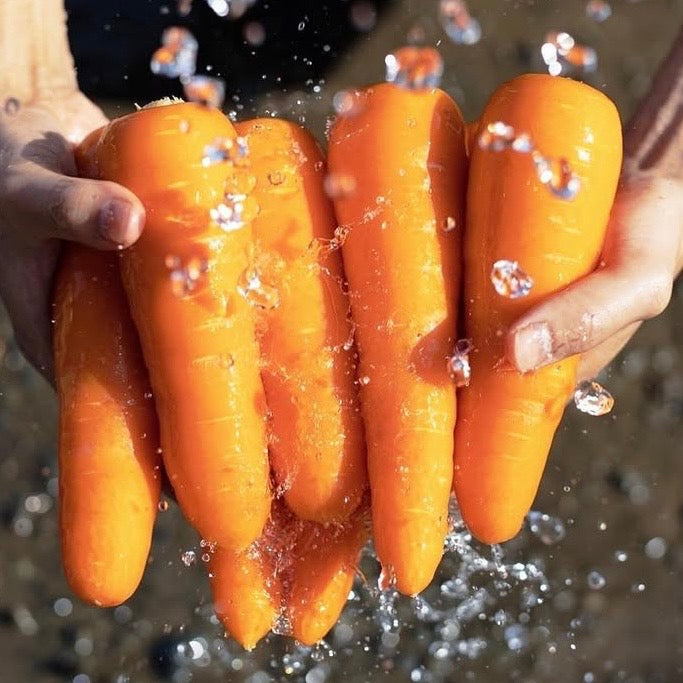 胡蘿蔔香蕉豆漿
