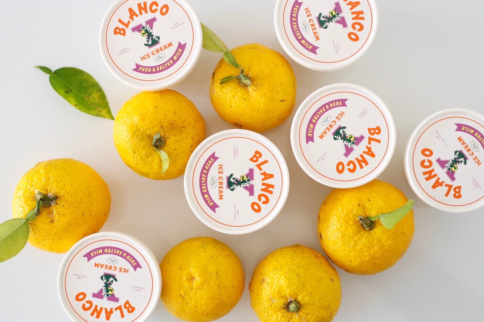 Xmasアイスケーキ(１ホール)+アイスカップ6個セット